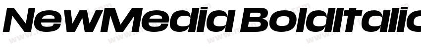 NewMedia BoldItalic字体转换